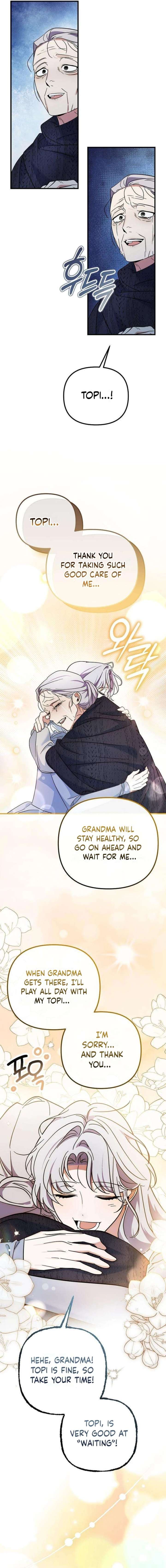 ch 19 17