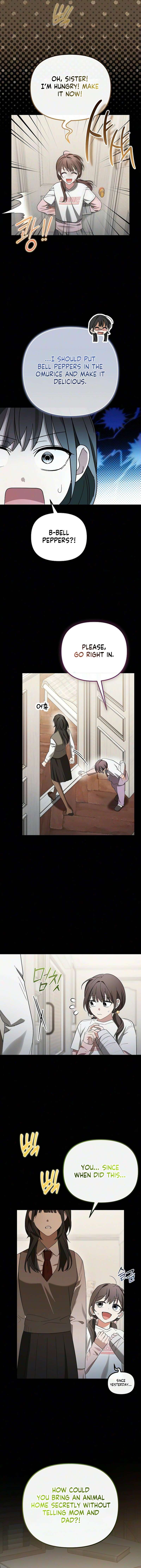 4b33c62c9804 5