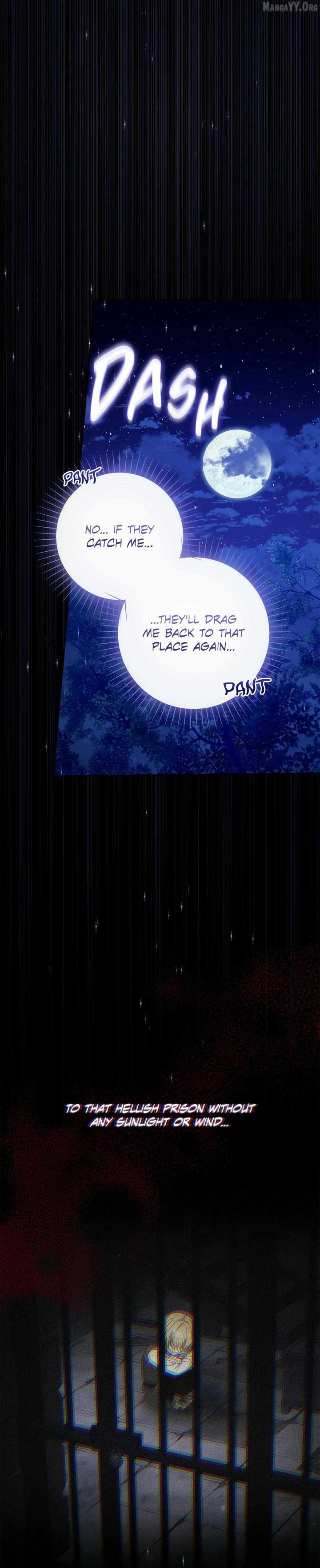 ch 17 26