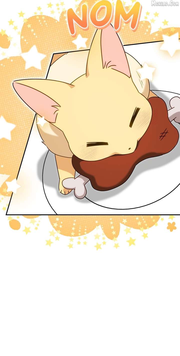 ch 18 21