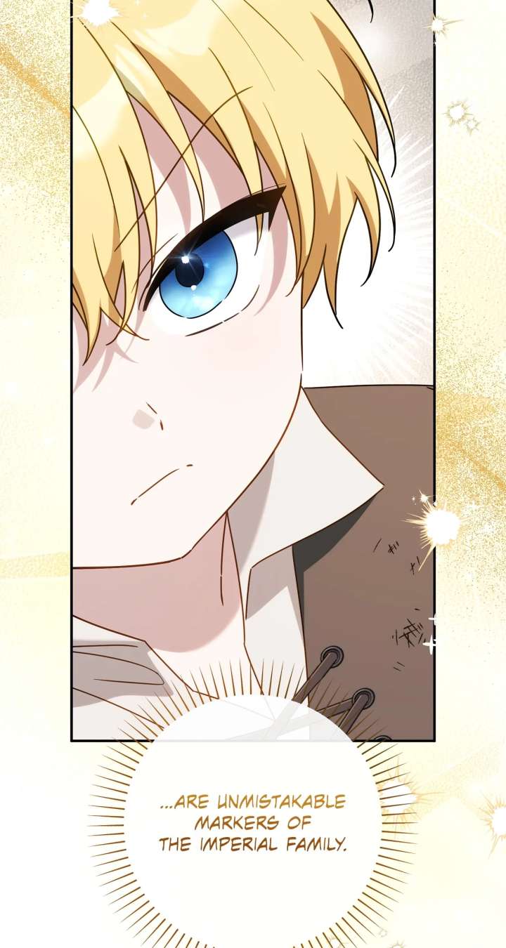 ch 19 26