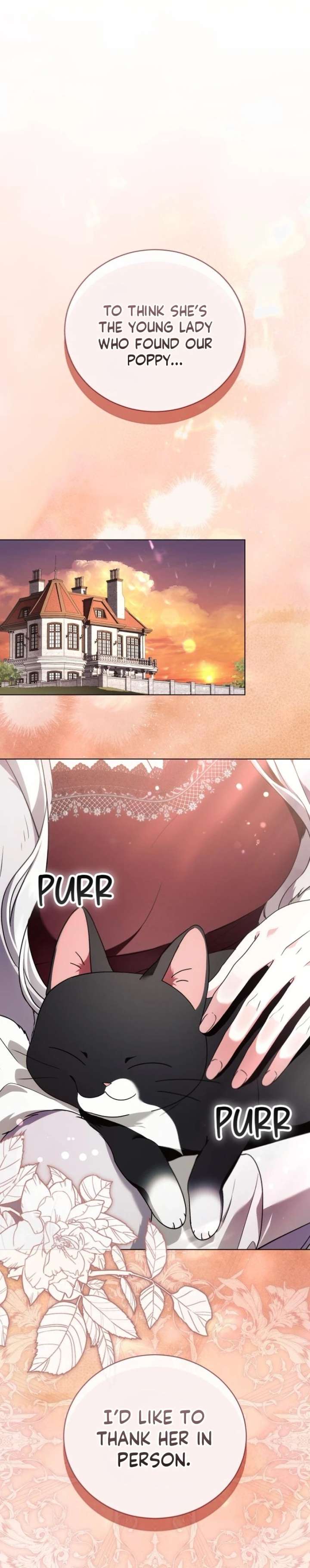 ch 11 16