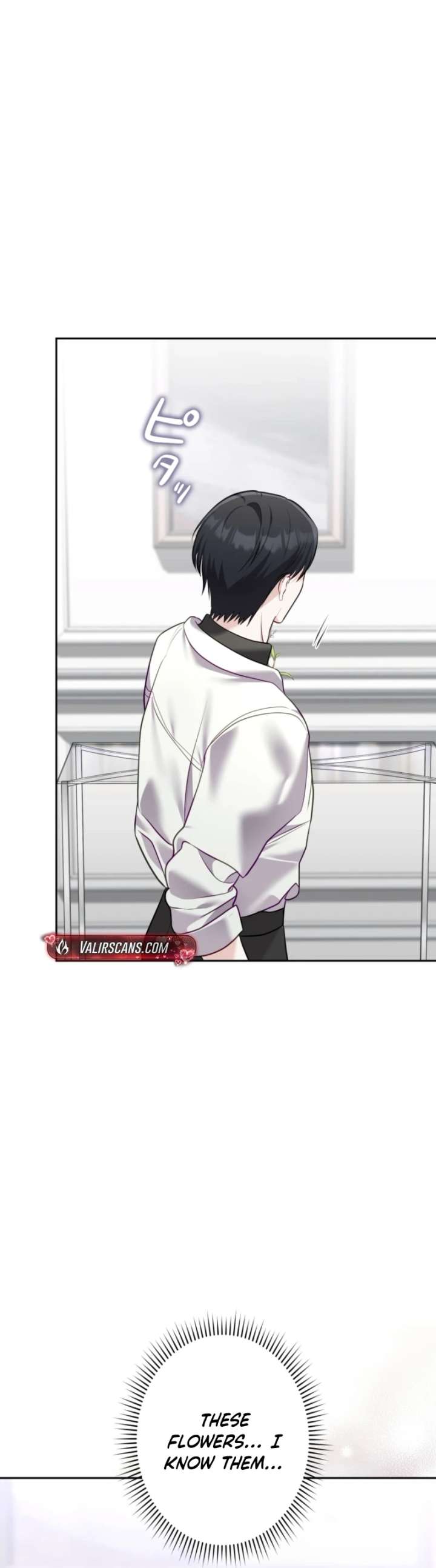 ch 24 29