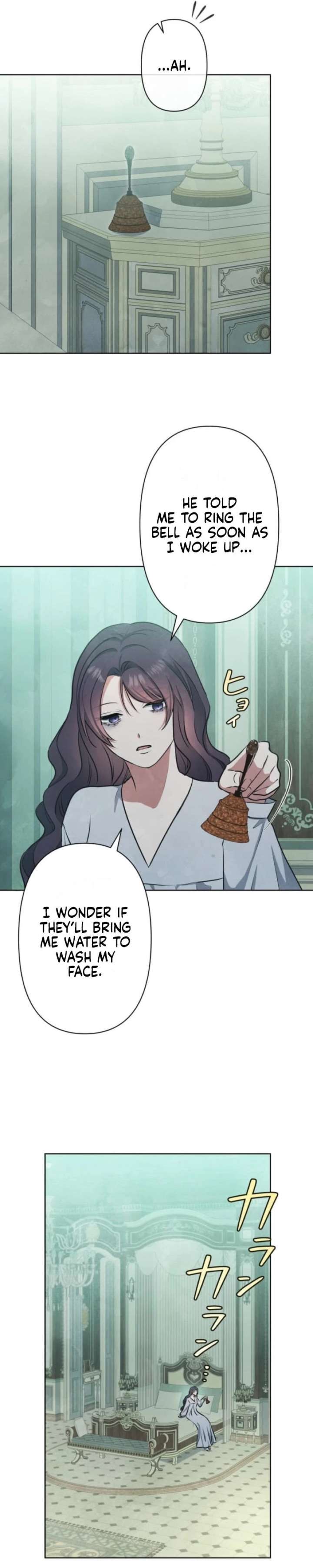 ch 26 19