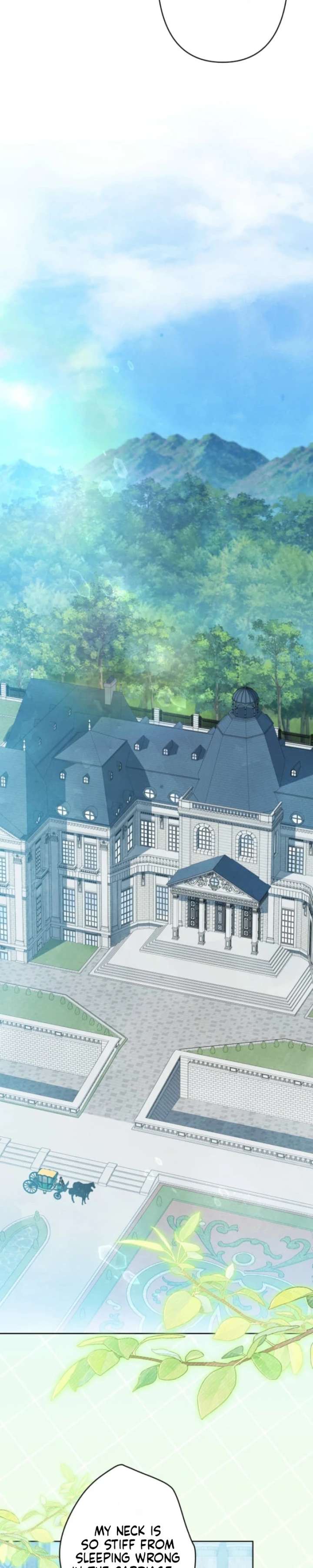 ch 28 24