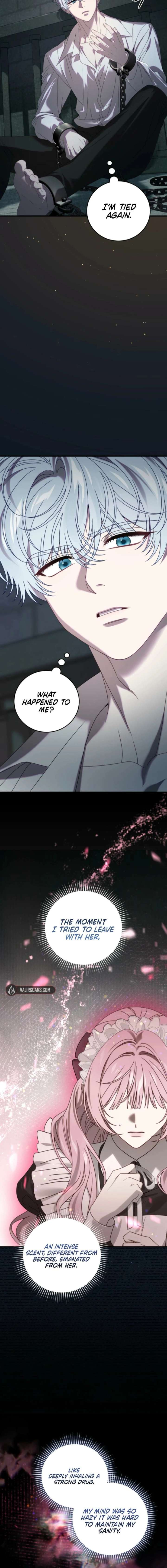ch 19 15