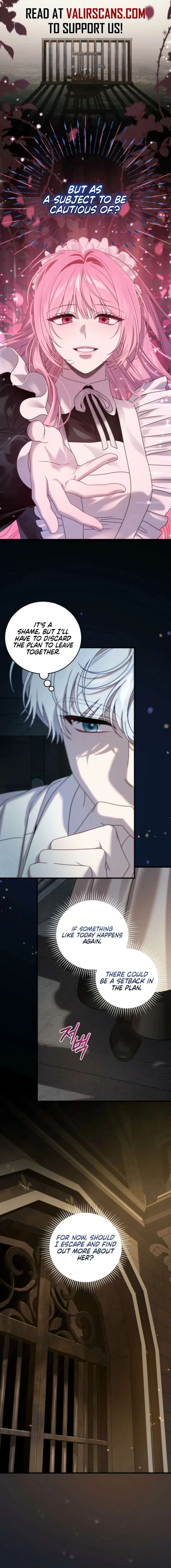 ch 19 17