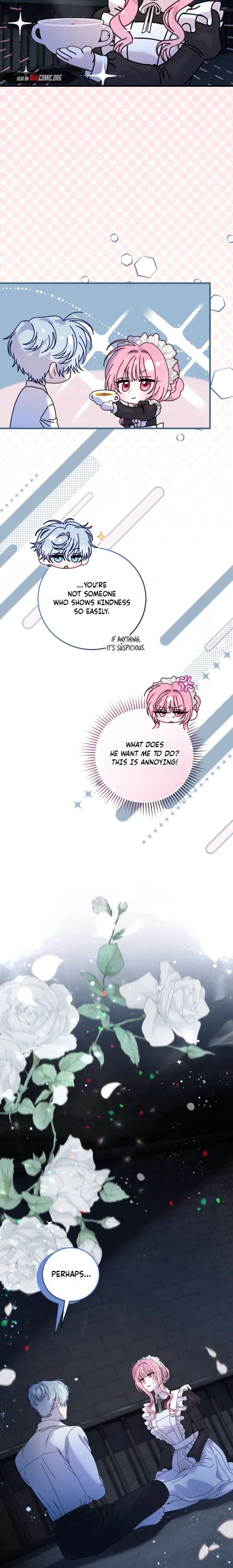 ch 29 20