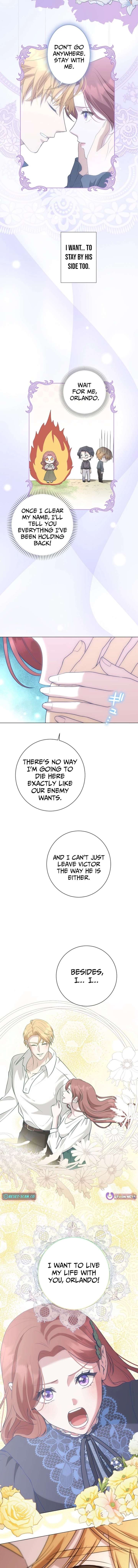 ch 17 11