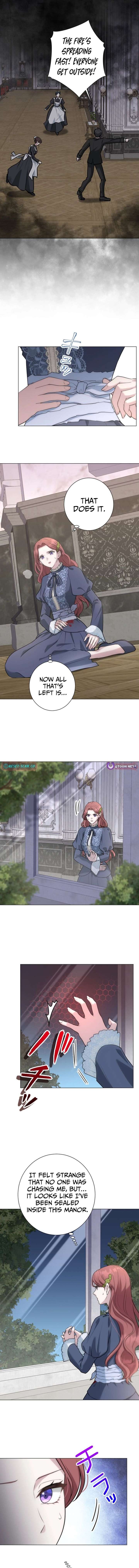 ch 17 3