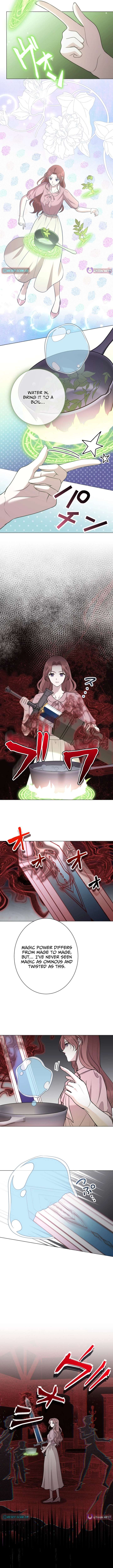 ch 19 6