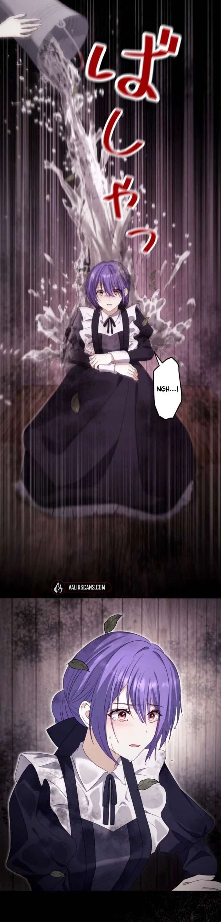 ch 27 29