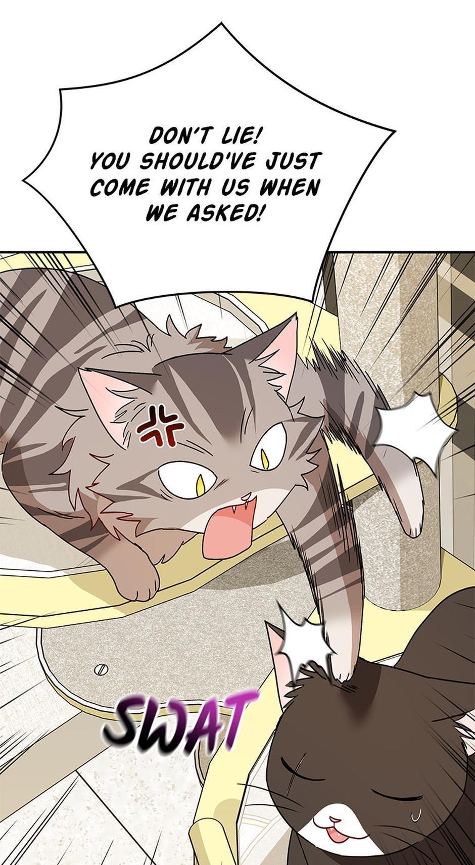 65