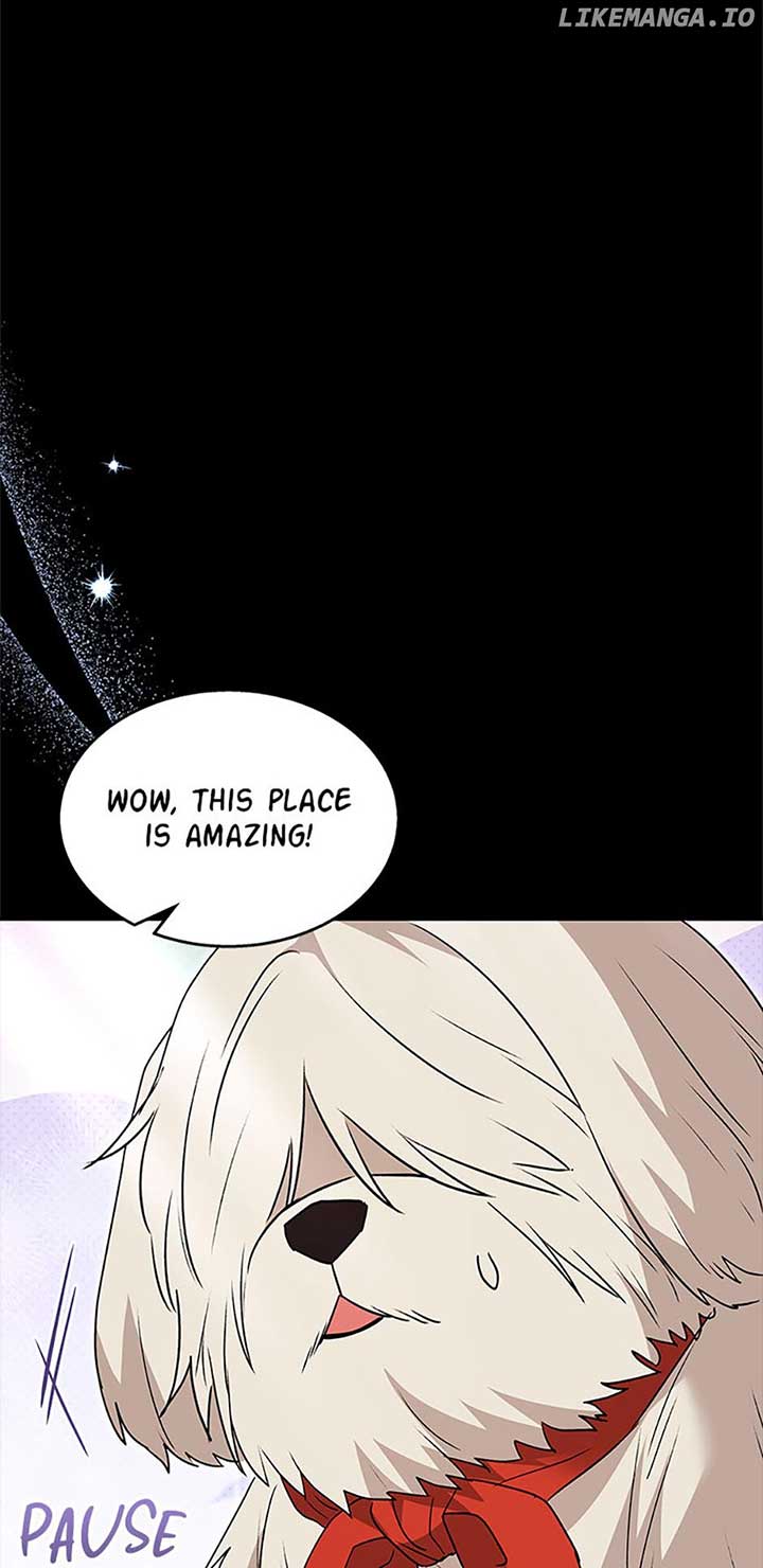 66