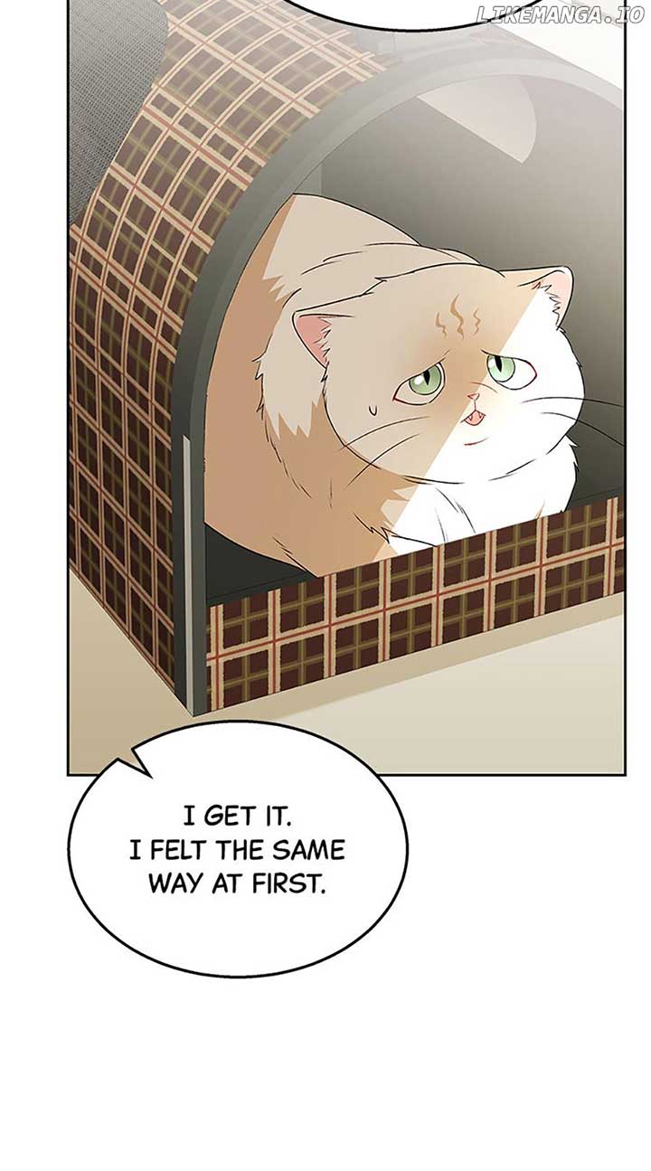 67