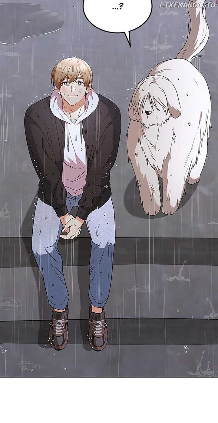 49