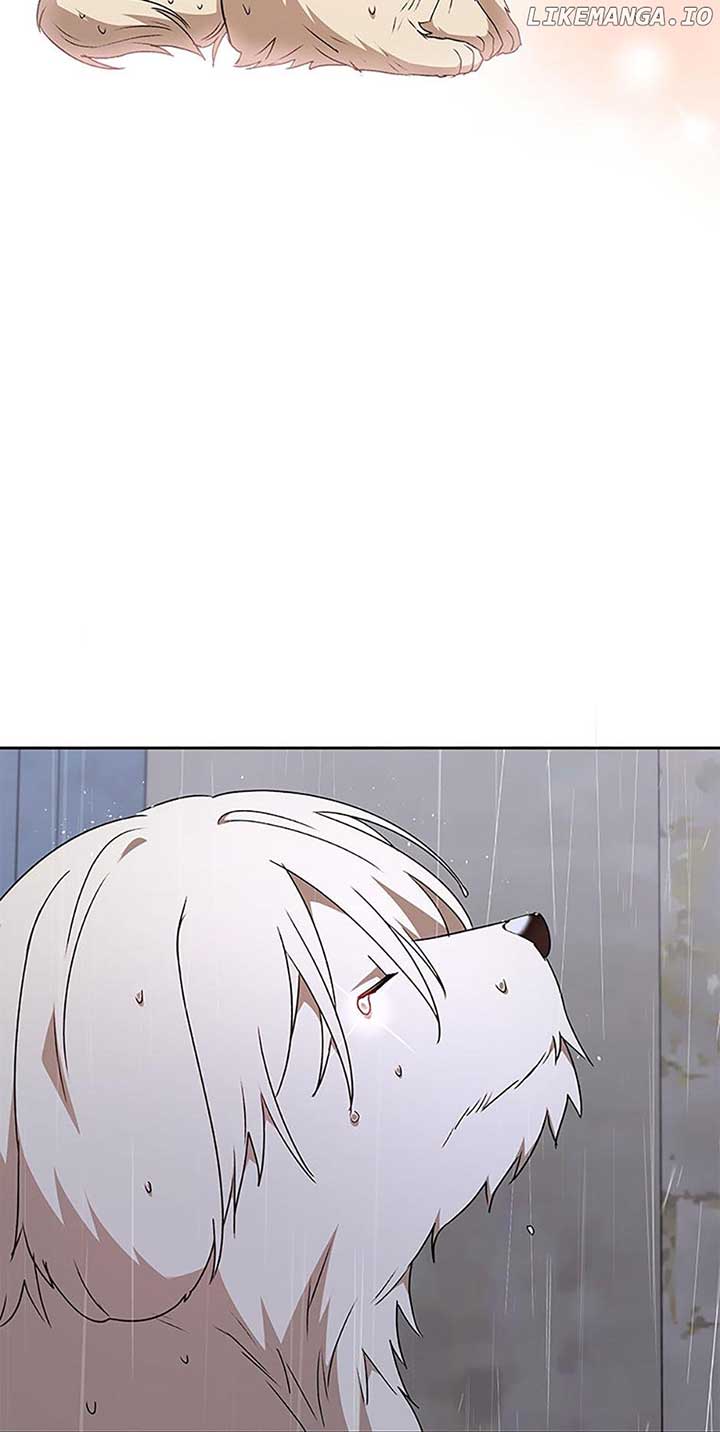 80