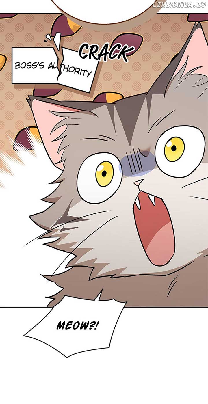 64