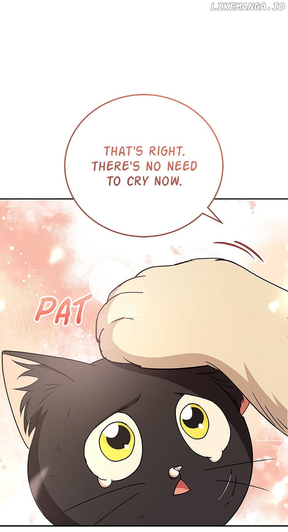 81