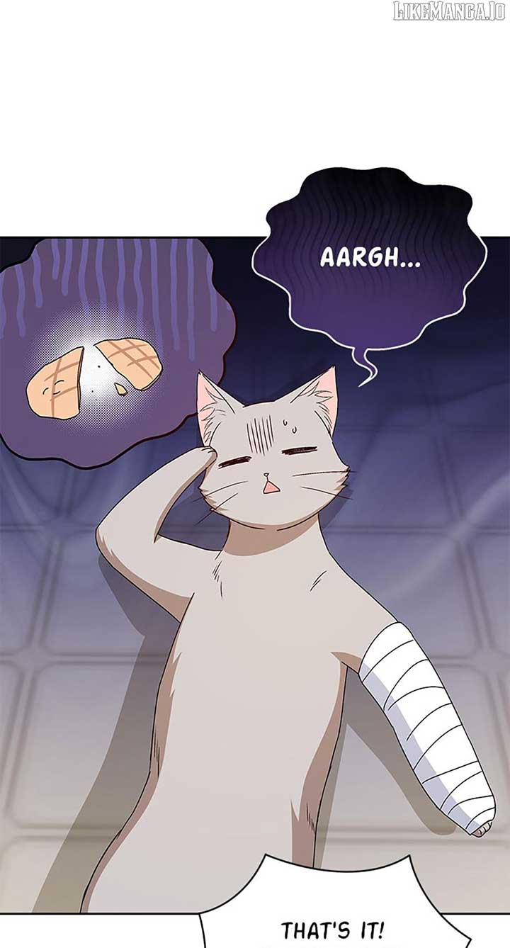 66