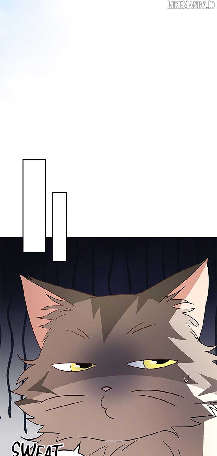 81