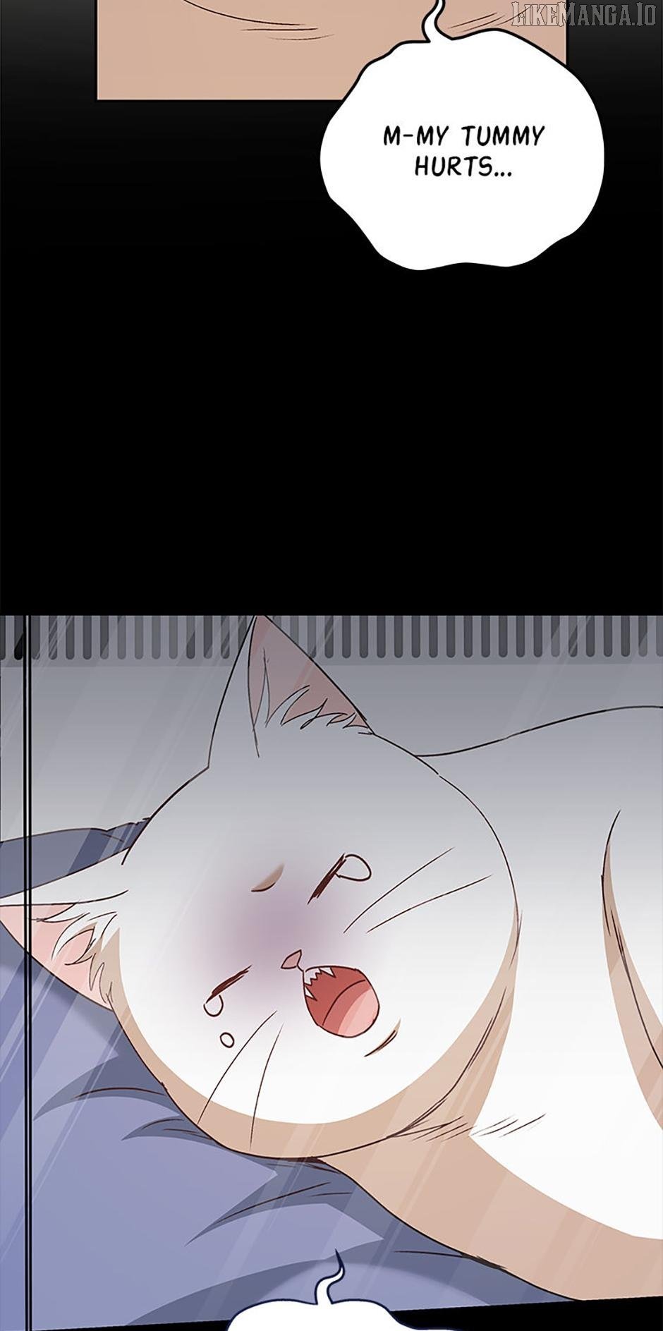 81