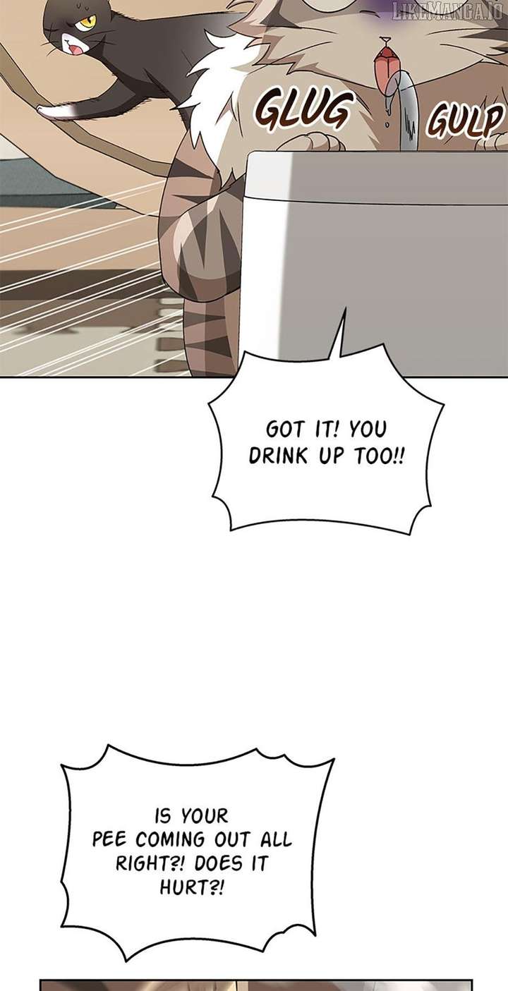 65