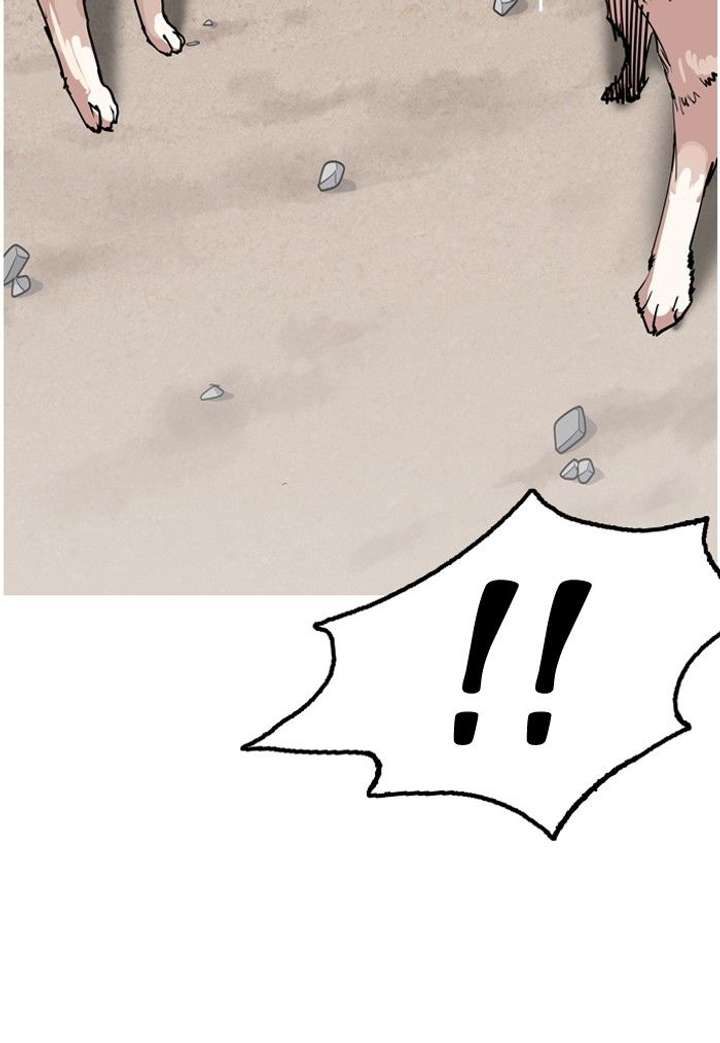 ch 135 83
