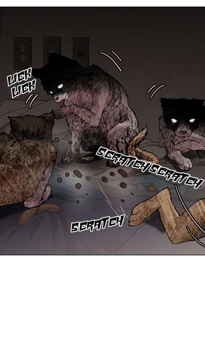 ch 150 36