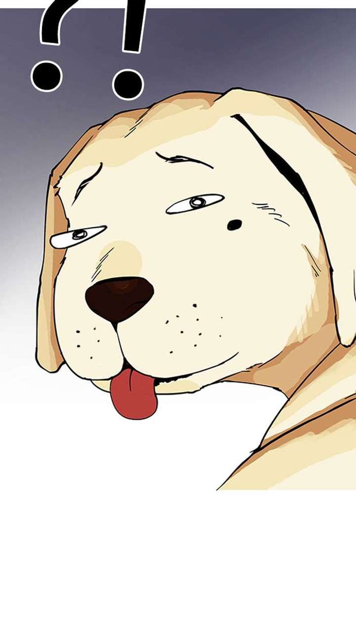 ch 152 16