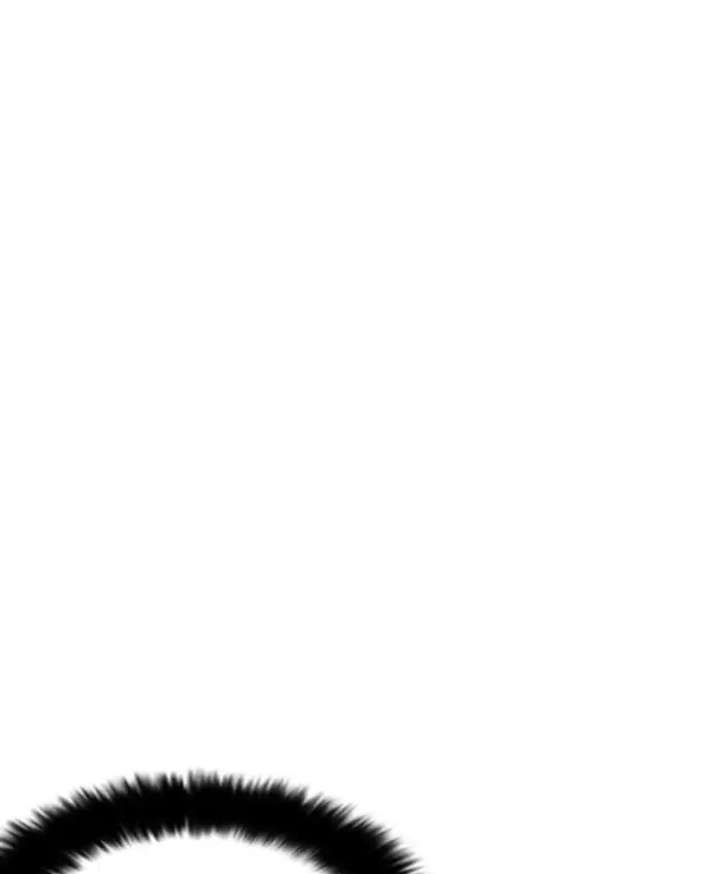 ch 216 135