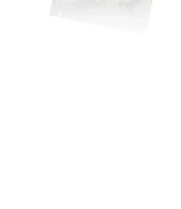 ch 224 207