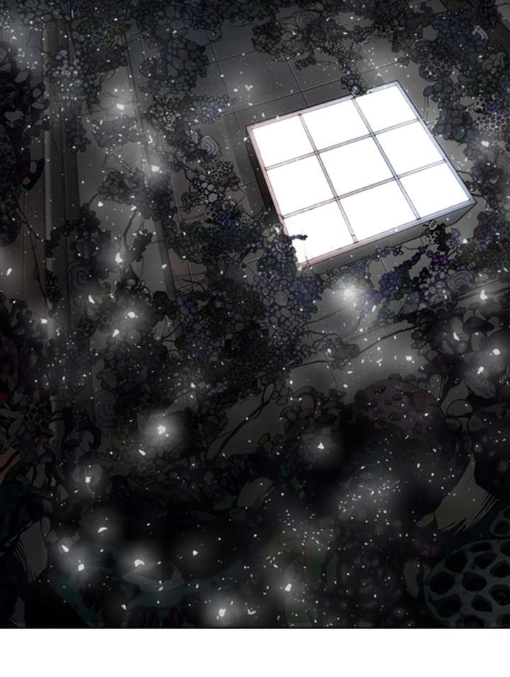 ch 330 79