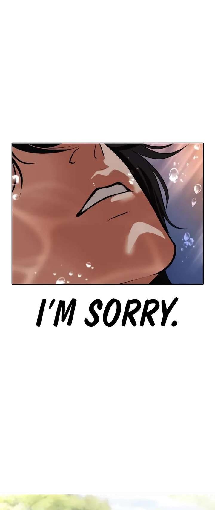 ch 499 115