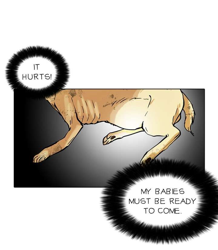 ch 60 51