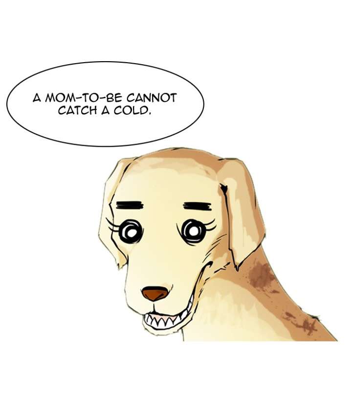 ch 61 11