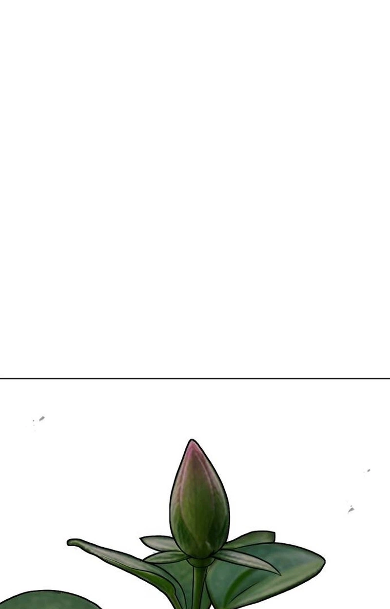 795f2c1bd843