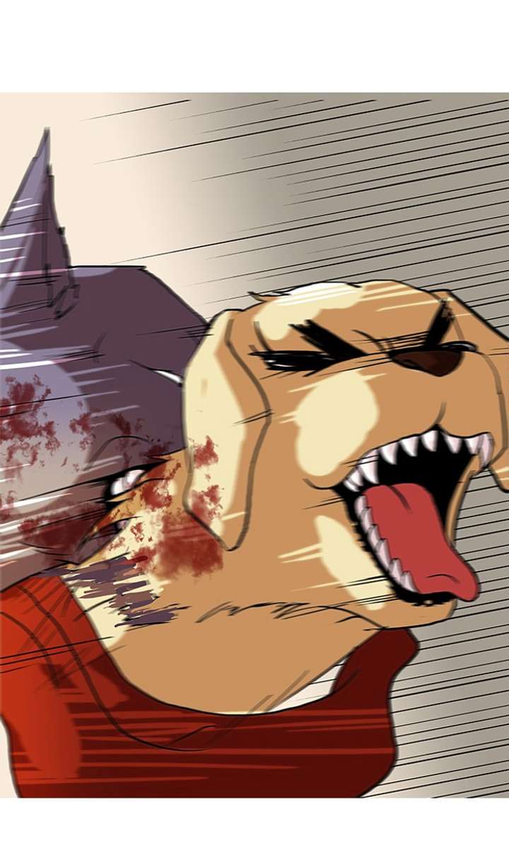 ch 70 4
