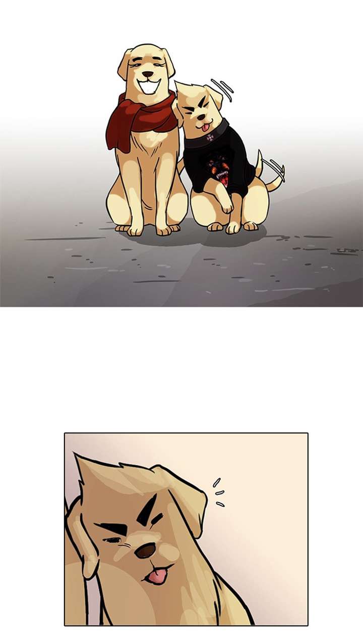 ch 70 66