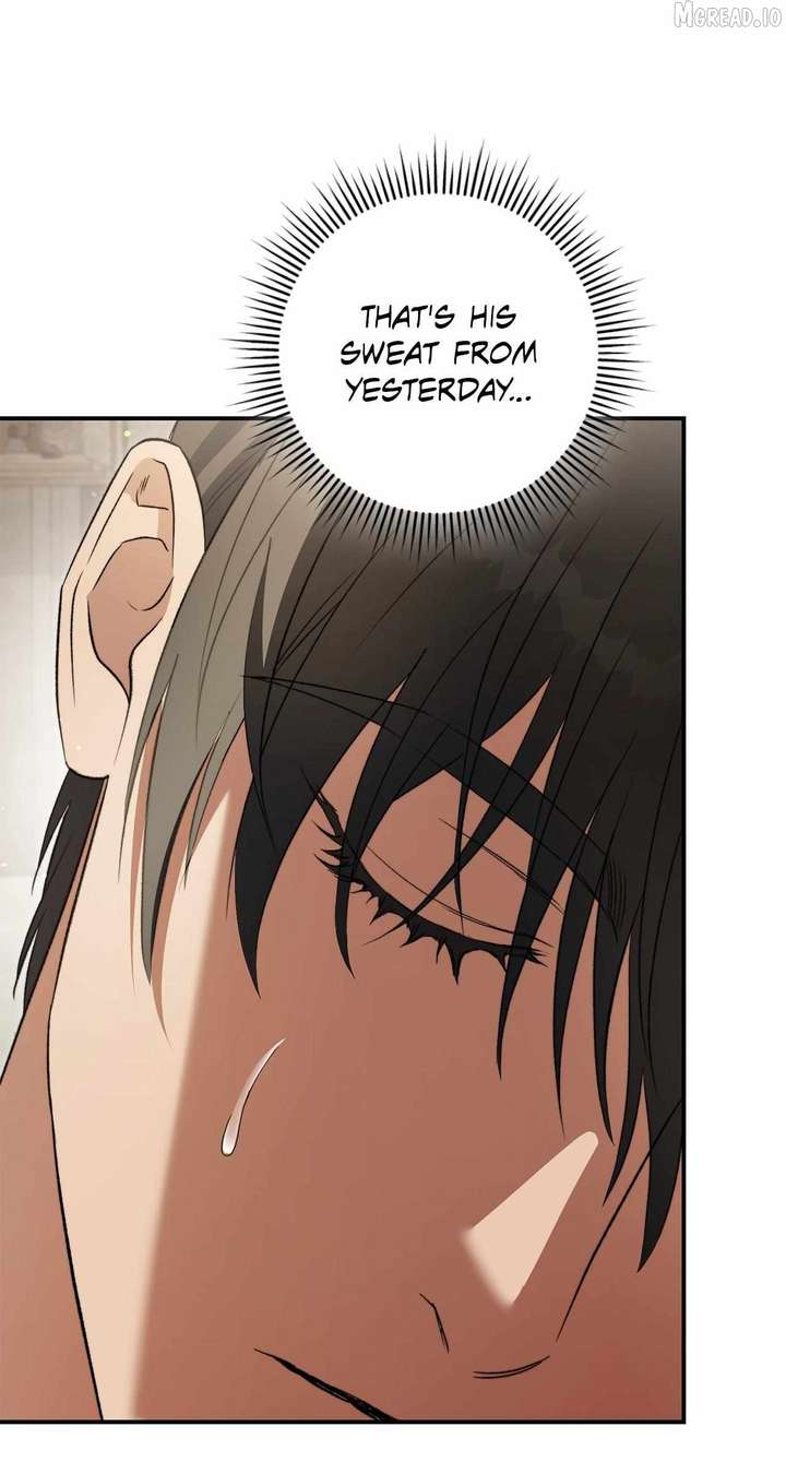 ch 19 20
