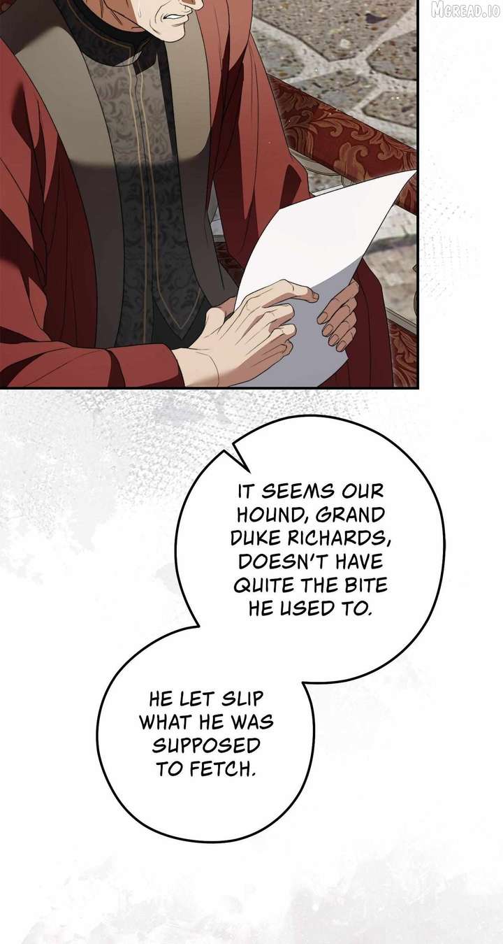 ch 19 81