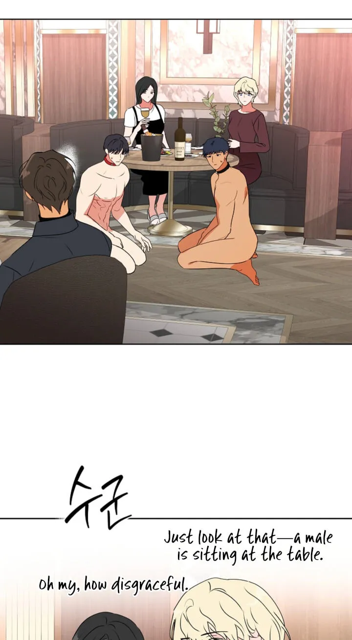 Males In The Breeding Room Chapter 37 261 f634c955ee6a