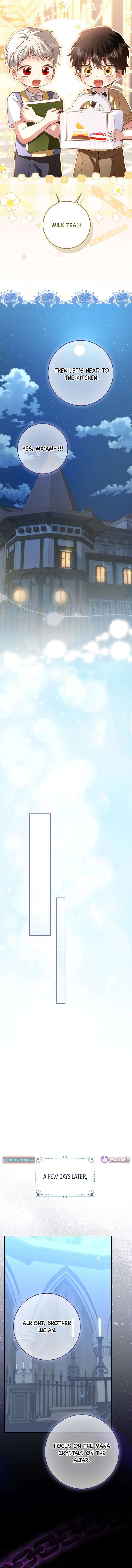 ch 29 11