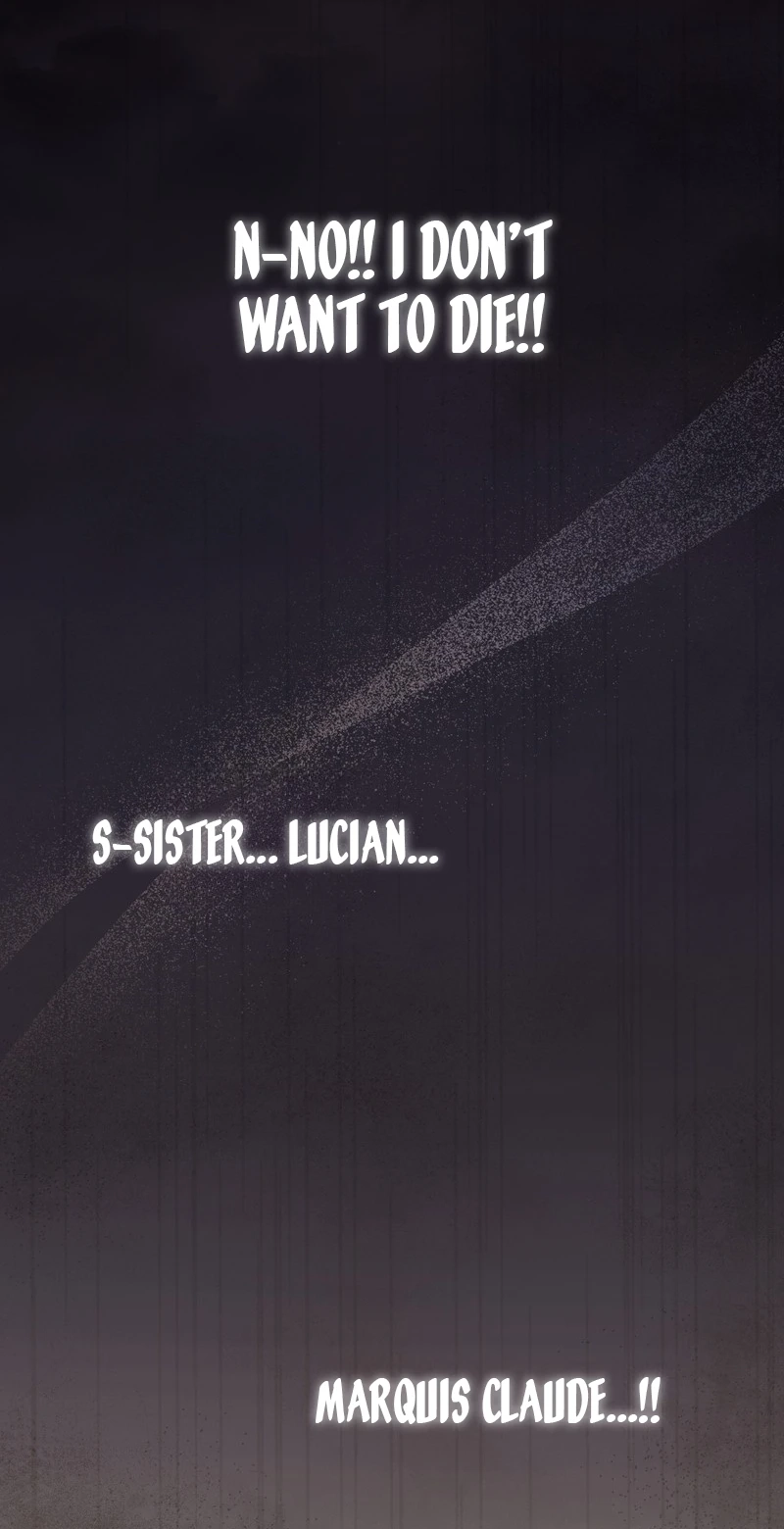 397b3d35b145