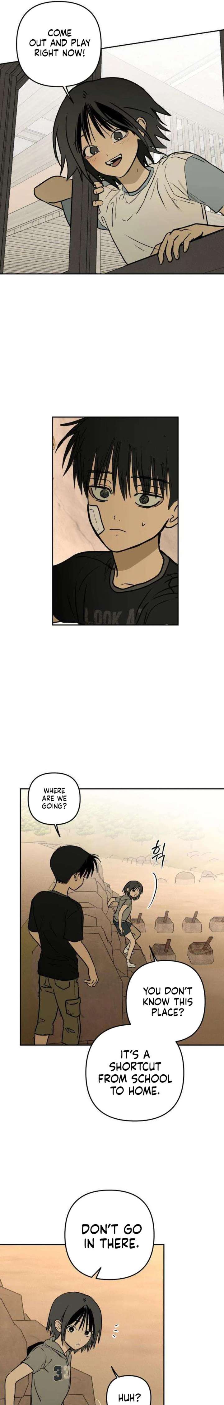 ch 17 16
