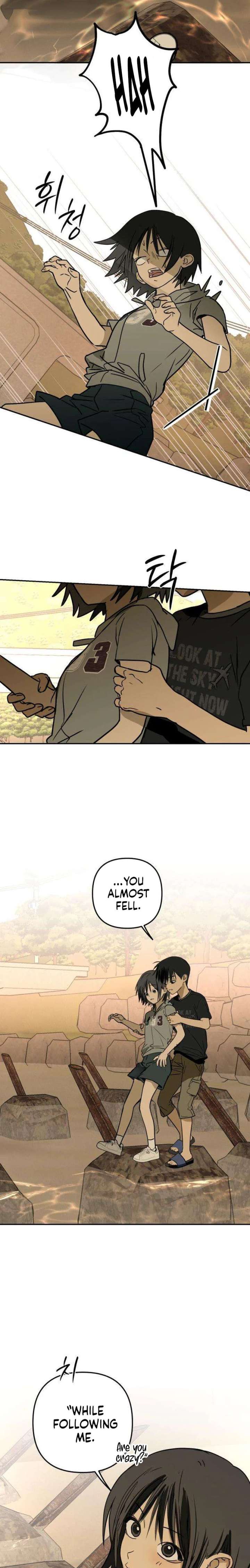 ch 17 19