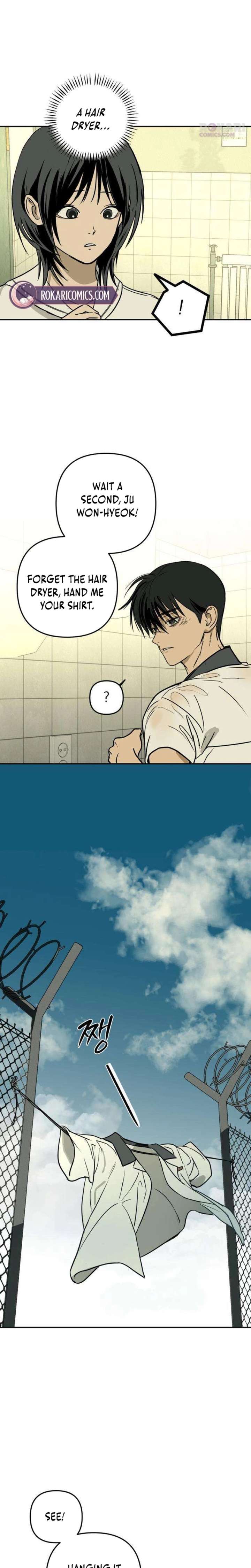 ch 19 11