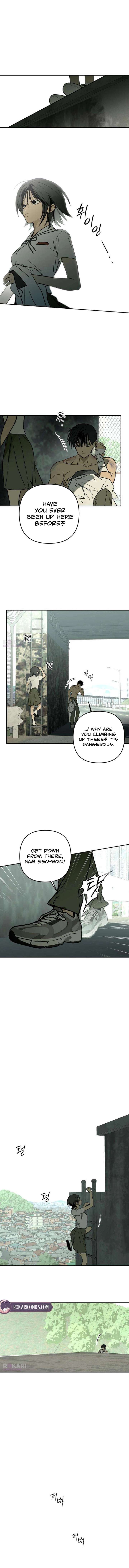 ch 19 13