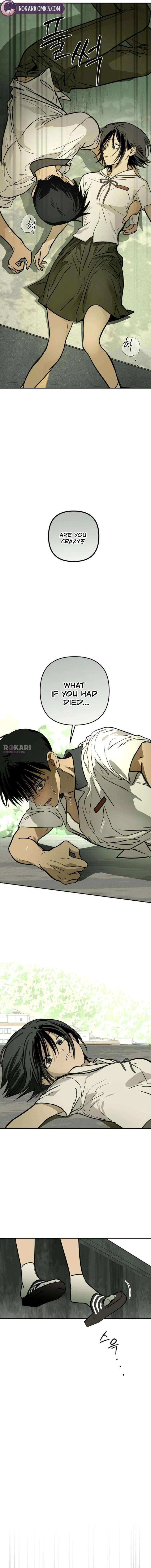 ch 19 15