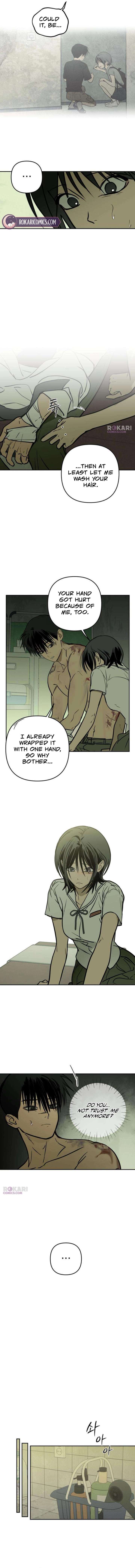 ch 19 6